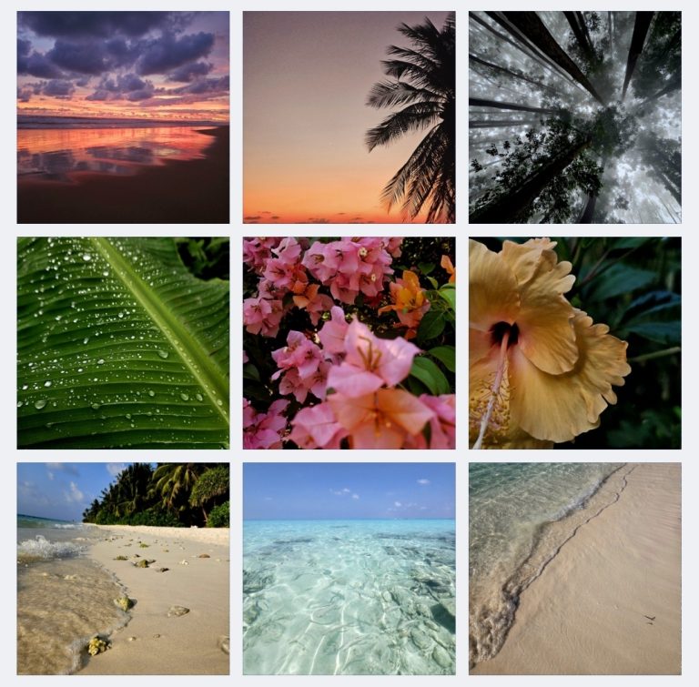 Screenshot_20240518_161446_Gallery