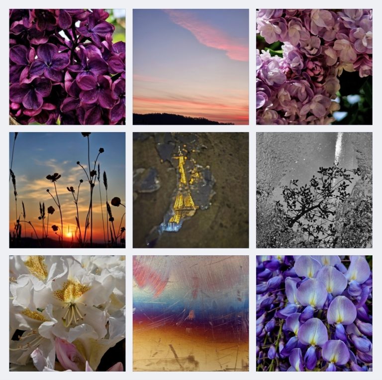 Screenshot_20240518_162031_Gallery